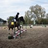 bABIE lATO 2018